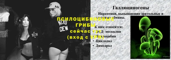бутират Алексин