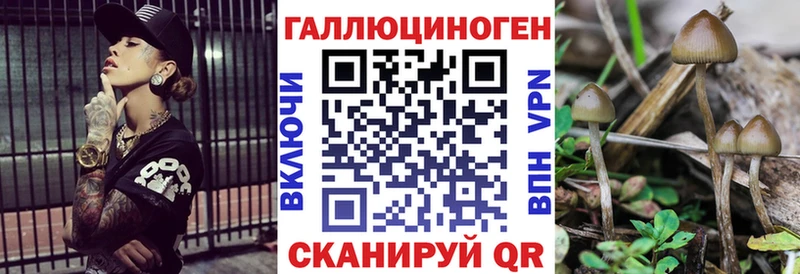 Псилоцибиновые грибы Cubensis  Павловская 